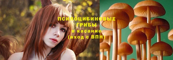 эйфоретик Абаза