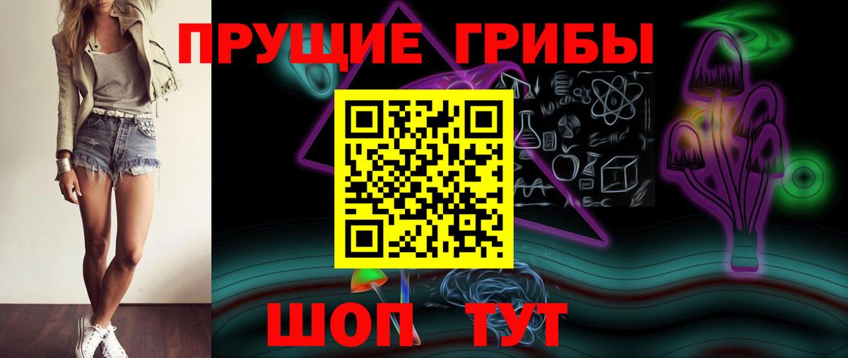 Галлюциногенные грибы Psilocybe Волоколамск