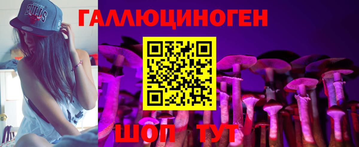 Волоколамск  Псилоцибиновые грибы мухоморы  Вход с VPN 