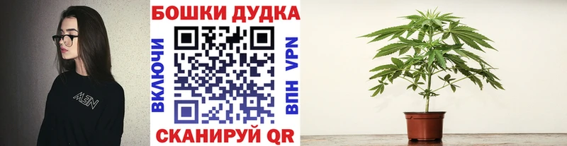 Бошки Шишки THC 21%  Волоколамск 